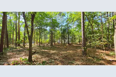 L-1 S-N Palmer Drive, Shallotte, NC 28470 - Photo 7