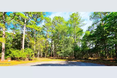 L-1 S-N Palmer Drive, Shallotte, NC 28470 - Photo 5