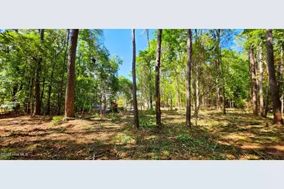 L-1 S-N Palmer Drive, Shallotte, NC 28470 - Photo 3