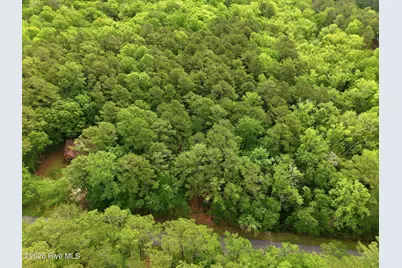 355 Pamlico River Drive, Washington, NC 27889 - Photo 13
