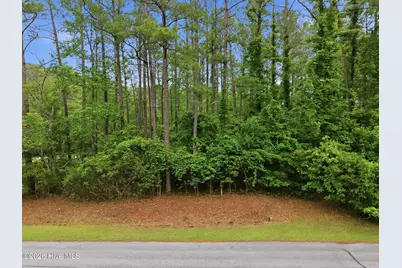 199 Live Oak Lane, Washington, NC 27889 - Photo 3