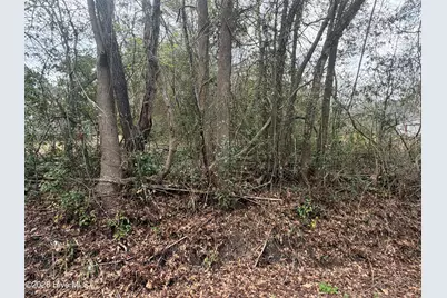 0000 Green Loop Road NE, Leland, NC 28451 - Photo 3