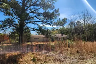 649 Willeyton Rd, Gates, NC 27937 - Photo 3