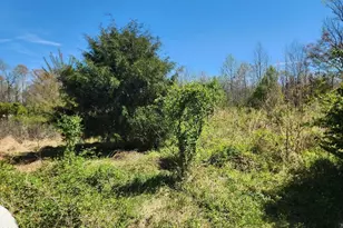 649 Willeyton Rd, Gates, NC 27937 - Photo 11