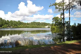 1121 Sandy Beach Cir, Leland, NC 28451 - Photo 49