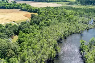 281 Shipyard Rd, Hertford, NC 27944 - Photo 59