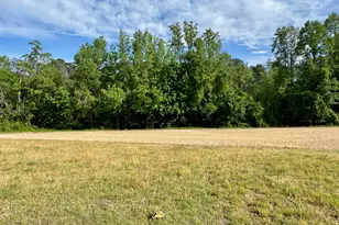6332 Pine Meadows Rd, Elm City, NC 27822 - Photo 5