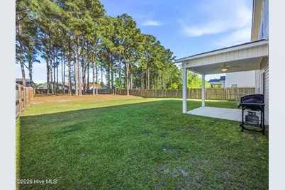 519 White Shoal Way, Sneads Ferry, NC 28460 - Photo 49
