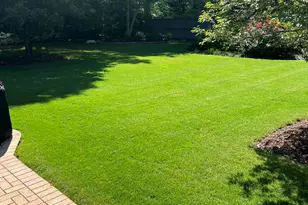 503 Dobbs Ct, Greenville, NC 27834 - Photo 65