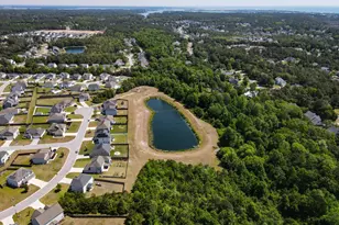 256 Sailor St, Sneads Ferry, NC 28460 - Photo 73