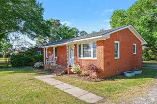 203 W Fayetteville St, Micro, NC 27555 - Photo 3