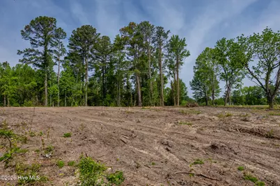 935 McGill Road, Vass, NC 28394 - Photo 5