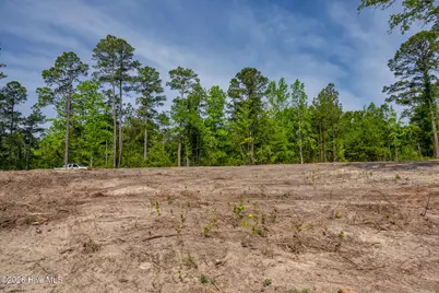 935 McGill Road, Vass, NC 28394 - Photo 13