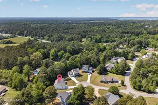 421 Celtic Ash St, Sneads Ferry, NC 28460 - Photo 53