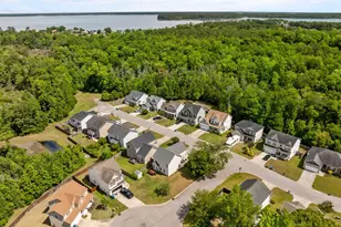 219 Peggy's Trce, Sneads Ferry, NC 28460 - Photo 53