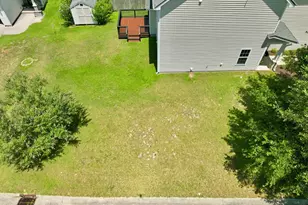 219 Peggy's Trce, Sneads Ferry, NC 28460 - Photo 47