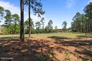 1650 Youngs Rd, Vass, NC 28394 - Photo 71