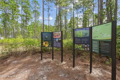 930 Plymouth Road, Boiling Spring Lakes, NC 28461 - Photo 33
