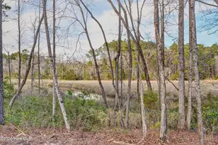 901 Montague Ct, Jacksonville, NC 28546 - Photo 9
