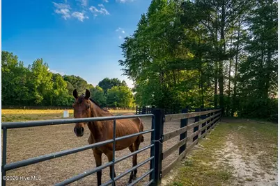 52 Fellowship Church Road, Princeton, NC 27569 - Photo 7