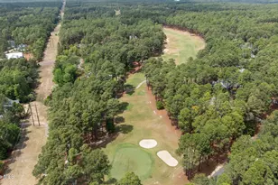 62 McMichael Dr, Pinehurst, NC 28374 - Photo 59