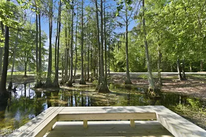 410 Whitebridge Road, Hampstead, NC 28443 - Photo 75