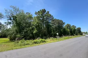 308 Borroughs Rd, Holly Ridge, NC 28445 - Photo 1