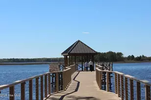 408 Seasalt Wy, Wilmington, NC 28412 - Photo 23