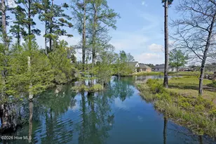 1124 Garden Club Way, Leland, NC 28451 - Photo 97