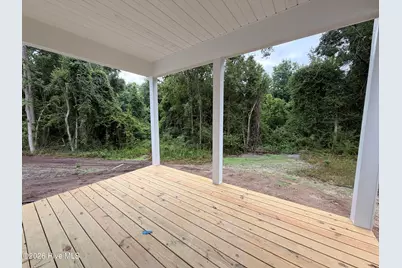 1721 Walnut Run Drive, Deep Run, NC 28525 - Photo 19