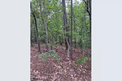 148 Otter Drive, Seven Lakes, NC 27376 - Photo 3