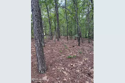 148 Otter Drive, Seven Lakes, NC 27376 - Photo 1