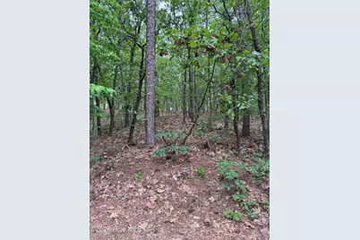 148 Otter Drive, Seven Lakes, NC 27376 - Photo 5
