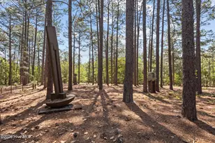 155 Harmony Ln, Southern Pines, NC 28387 - Photo 7