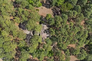 155 Harmony Ln, Southern Pines, NC 28387 - Photo 67