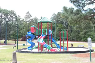 139 Pleasant View Ln, West End, NC 27376 - Photo 59