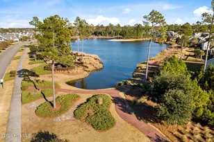 1326 Star Grass Wy, Leland, NC 28451 - Photo 45