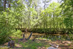 168 Riverview Dr, Vass, NC 28394 - Photo 55