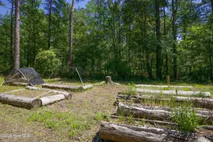 168 Riverview Dr, Vass, NC 28394 - Photo 59