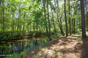 168 Riverview Dr, Vass, NC 28394 - Photo 57