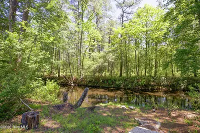 168 Riverview Drive, Vass, NC 28394 - Photo 49