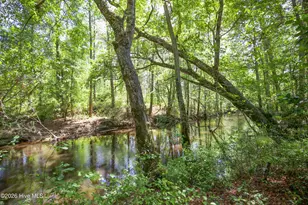 168 Riverview Dr, Vass, NC 28394 - Photo 67