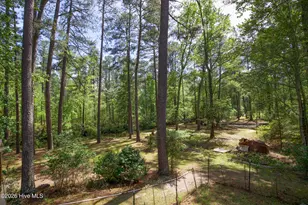 168 Riverview Dr, Vass, NC 28394 - Photo 49