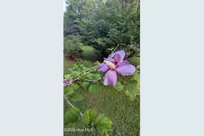 168 Riverview Drive, Vass, NC 28394 - Photo 83