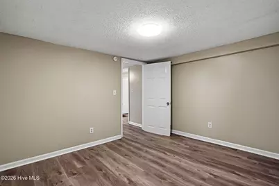 204 W Hill Street, Benson, NC 27504 - Photo 19