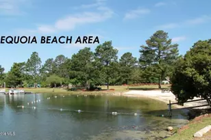 129 Sunset Way, Seven Lakes, NC 27376 - Photo 41