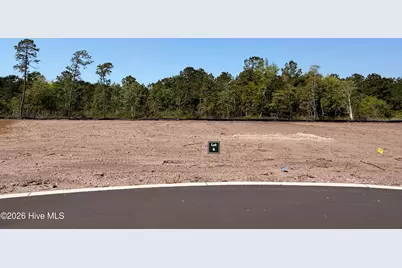 778 Harper Acres Lane SE, Southport, NC 28461 - Photo 7