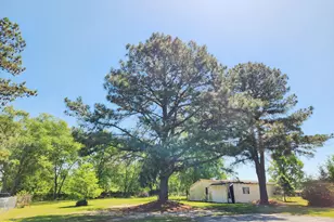 3941 Burnette Farm Rd, Tarboro, NC 27886 - Photo 5