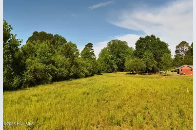 0 Old Chinquapin Road, Beulaville, NC 28518 - Photo 11