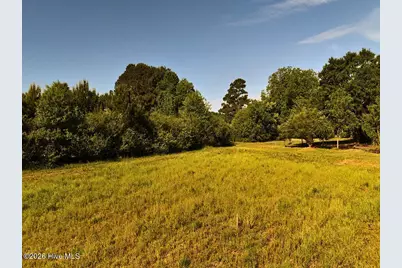 0 Old Chinquapin Road, Beulaville, NC 28518 - Photo 13